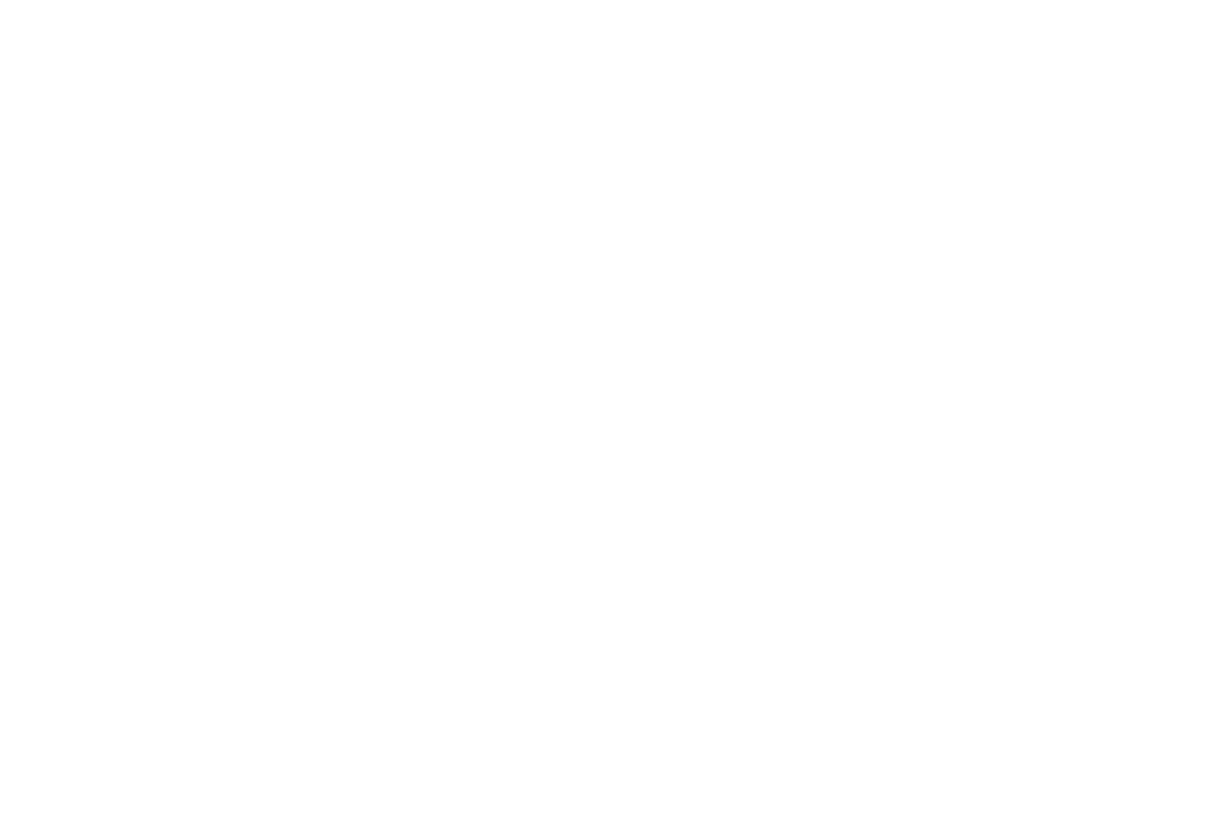 mantis logo